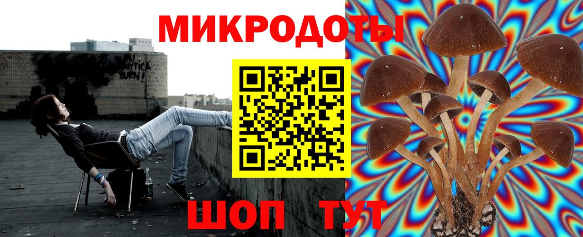 Псилоцибиновые грибы мухоморы Новокубанск