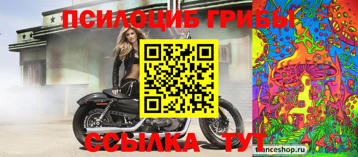 Новокубанск  Псилоцибиновые грибы прущие грибы  Вход с VPN 