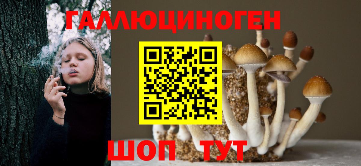 Псилоцибиновые грибы Magic Shrooms Новокубанск