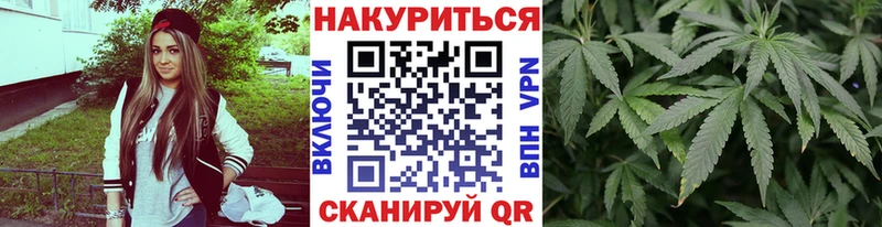 Каннабис Bruce Banner  Новокубанск 