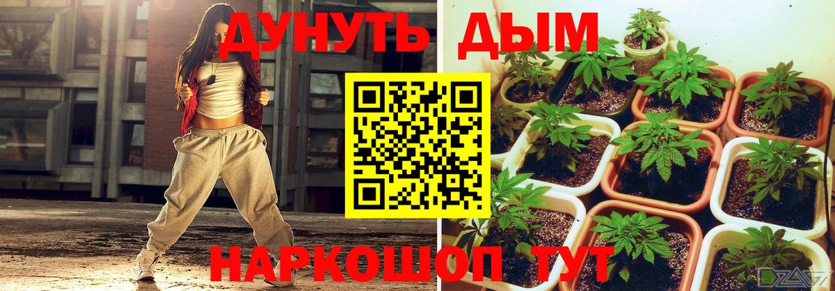 Марихуана индика  Бошки Шишки VHQ  Вход с VPN  Новокубанск  Каннабис индика 